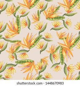 Tropic vintage background. Botanical vector illustration. Jungle flower botanical strelitzia pattern.