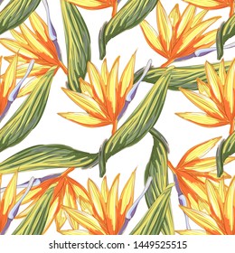 Tropic vintage background. Botanical vector illustration. Jungle flower botanical strelitzia pattern.