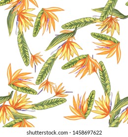 Tropic vintage background. Botanical vector illustration. Jungle flower botanical strelitzia pattern.