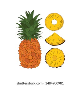 Tropic whole pineapple with round slices and piece on white background. Vector illustration. Isolated. - Vector