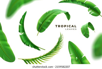 Fondo de hojas tropicales realistas 3D, elemento de diseño vectorial. Hoja de palmera verde exótica, primavera botánica o plantas de verano, telón de fondo de decoración del paraíso. Bosque de selva floral, vegetación
