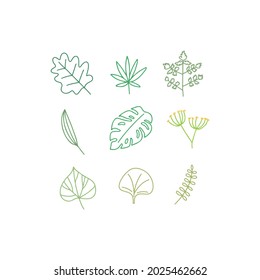 Tropical 9 difference leaves set isolated on white background. Hand drawn leaf.