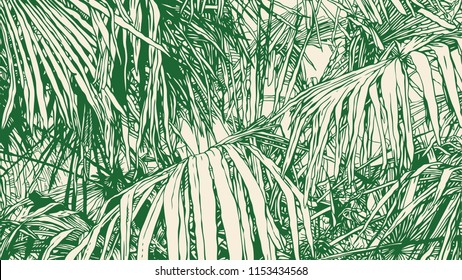 Tropical Abstract Background With Palm-Tree Leaf. drawing style.aspect ratio 16:9. vector illustration