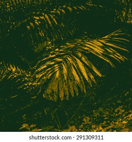 tropical abstract background with palm-tree leaf, sunlight and shades. vector illustration.