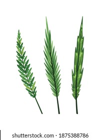 Tropical abstract green isolated leaves. Botanical element for marketing cosmetics spa or beauty care products. Leaf of exotic plant