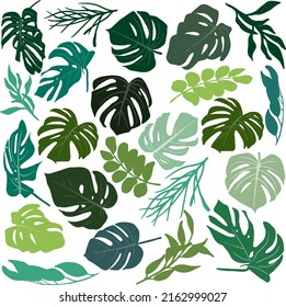 Tropical abstract set. Leaves of monstera