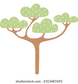 Tropical acacia tree hand drawn illustration. Flat Scandinavian style design, isolated vector. Exotic, rainforest, savanna plant, jungle flora, botanical, landscape, scene creator element