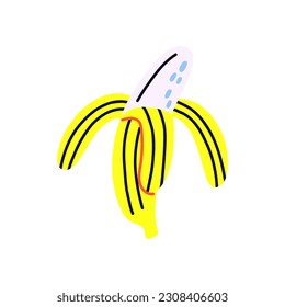 Tropical acid fruit isolated yellow open peel banana. Hand drawn vector