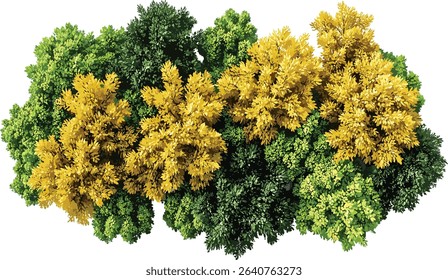 Tropical aerial view vector, isolated seasonal, yellow and green trees, lush tropical forest, nature landscape, summer foliage, vibrant greenery, exotic nature, tropic paradise