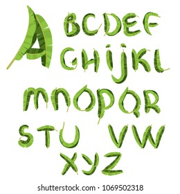 Tropical alphabet made of banana palm leaves. Hand drawn green paradice abc. Natural summer letters. Vector illustrated design