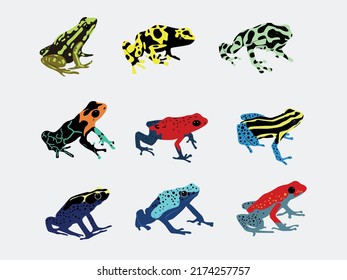 tropical amazon poison frog clipart illustration vector collection