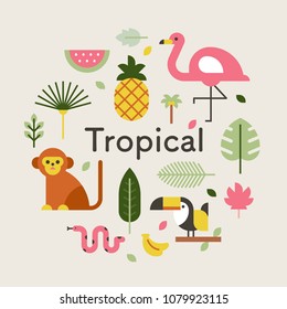 tropical animal and leaf. vector illustration flat design