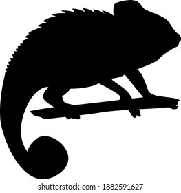 tropical animal vector isolated object. black silhouette on white background.lizard,chameleon. stickers, office,decoration