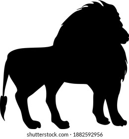 tropical animal vector isolated object. black silhouette on white background.lion. stickers, office,decoration