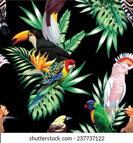 Tropical animals birds parrot macaw and toucan on branch exotic floral banana palm beach tree. Seamless vector wallpaper pattern flower Strelitzia. Decorative abstract design on a black background.