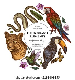 Tropical animals circle design. Hand drawn leopard, snake, hummingbird, toucan, scarlet macaw, african giant swallowtail, strelitzia, orchid, phalaenopsis.