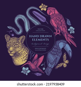 Tropical animals circle design. Hand drawn leopard, snake, hummingbird, toucan, scarlet macaw, african giant swallowtail, strelitzia, orchid, phalaenopsis.