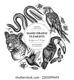 Diseño de círculo de animales tropicales. Leopardo dibujado a mano, serpiente, colibrí, toucan, escarlata macaw, cola gigante africana, estrelitzia, orquídea, falaenopsis.