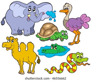 Tropical animals collection - vector illustration.