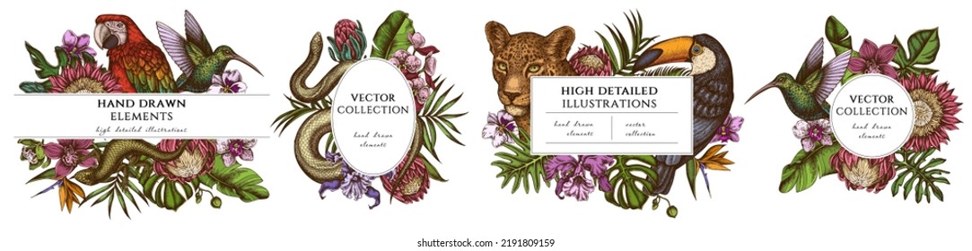 Tropische Tiere handgezeichnete Rahmenvorlagen. Vintage-Illustrationen von Leopard, Schlange, Eidechsen, Kolibris, Tucan, Scharlach, Monstera, Bananenpalmenblätter, Streplitzia, tropischen Palmenblättern