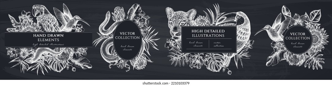 Tropical animals hand drawn frame templates. Vintage illustrations of leopard, snake, lizard, hummingbird, toucan, scarlet macaw, monstera, banana palm leaves, strelitzia, tropical palm leaves, orchid