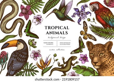 Tropical animals hand drawn illustration design. Background with retro leopard, snake, lizard, hummingbird, toucan, scarlet macaw, rajah brooke's birdwing, african giant swallowtail, monstera