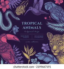 Tropical animals hand drawn illustration design. Background with vintage leopard, snake, hummingbird, toucan, scarlet macaw, monstera, banana palm leaves, strelitzia, protea, phalaenopsis.