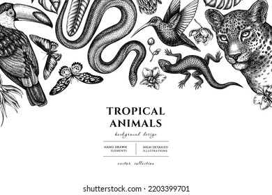 Tropical animals hand drawn illustration design. Background with sketch leopard, snake, lizard, hummingbird, toucan, rajah brooke s birdwing, african giant swallowtail, monstera, strelitzia, protea