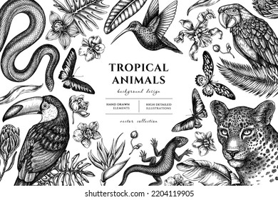 Tropische Tiere handgezeichnet Illustration Design. Hintergrund mit Sketch-Leopard, Schlange, Eidechsen, Kolibris, Tucan, Scharlachrot-Ara, Rajah-Brooke-Vogelschwanz, afrikanischer Riesenschwanz, Monstera, Banane