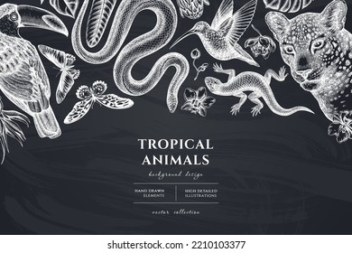 Tropical animals hand drawn illustration design. Background with chalk leopard, snake, lizard, hummingbird, toucan, rajah brooke s birdwing, african giant swallowtail, monstera, strelitzia, protea