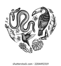 Tropical animals heart vintage design. Hand drawn snake, hummingbird, toucan, african giant swallowtail, monstera, banana palm leaves, protea, phalaenopsis.