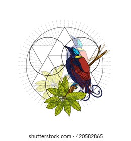 Tropical animals and plants background with sacred geometry symbol. Vector illustration. 