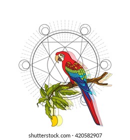Tropical animals and plants background with sacred geometry symbol. Vector illustration. 