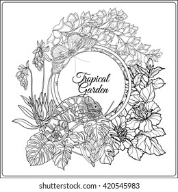 Tropical animals and plants composition with space for text. This illustration can be used for adult coloring book. Vector illustration.