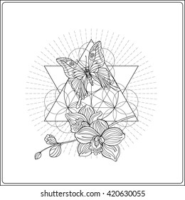 Tropical animals and plants on background with sacred geometry symbol. Outline drawing. Vector illustration. Good for adult coloring book