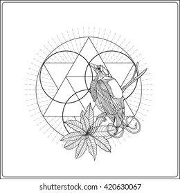 Tropical animals and plants on background with sacred geometry symbol. Outline drawing. Vector illustration. Good for adult coloring book