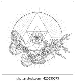 Tropical animals and plants on background with sacred geometry symbol. Outline drawing. Vector illustration. Good for adult coloring book
