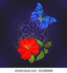 Tropical animals and plants on black background with  gold sacred geometry symbol. Colored vector illustration.