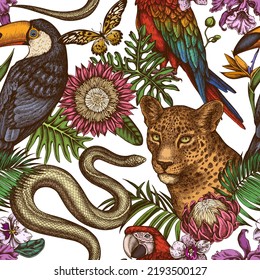 Tropische Tiere nahtlose Muster-Hintergrund-Design. Stilvoll graviert. Handgezeichneter Leopard, Schlange, Toucan, Scharlach, afrikanischer Riesenschwanz, Monstera, Strelitzia, tropische Palmenblätter, Orchideen