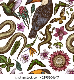 Tropical animals seamless pattern background design. Engraved style. Hand drawn snake, lizard, hummingbird, toucan, rajah brooke's birdwing, african giant swallowtail, monstera, strelitzia, protea