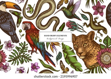 Tropical animals seamless pattern background design. Engraved style. Hand drawn leopard, snake, lizard, hummingbird, toucan, scarlet macaw, rajah brooke's birdwing, african giant swallowtail