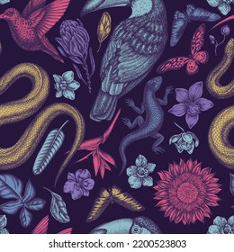 Tropical animals seamless pattern background design. Engraved style. Hand drawn snake, lizard, hummingbird, toucan, rajah brooke's birdwing, african giant swallowtail, monstera, strelitzia, protea