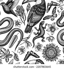 Tropical animals seamless pattern background design. Engraved style. Hand drawn snake, lizard, hummingbird, toucan, rajah brooke's birdwing, african giant swallowtail, monstera, strelitzia, protea