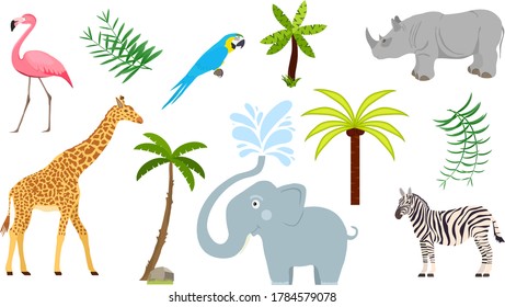 Tropical animals, trees and plants. Tropical world illustration. Vector illustration. Vector.