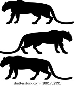 tropical animals vector isolated objects. black silhouettes on white background. leopards. stickers. office,decoration