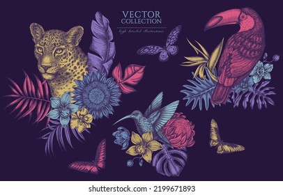 Tropical animals vintage illustrations collection. Hand drawn logo designs with leopard, hummingbird, toucan, rajah brooke's birdwing, african giant swallowtail, monstera, banana palm leaves