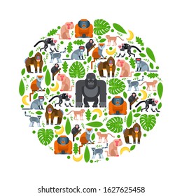 Tropical apes and monkeys in round frame composition, vector illustration. Flat style cartoon characters, jungle nature, isolated icons. Zoo animals, African wildlife safari. Apes, monkeys and leaves