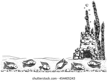Tropical aquarium fish 