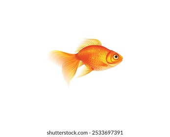 Aquário tropical dourado peixe vetor ilustração 3D conceito isolado no fundo branco. Aquário Gold Fish vetor. Ilustração do vetor do peixe-dourado do aquário tropical. Conceito 3D de peixe-dourado de aquário