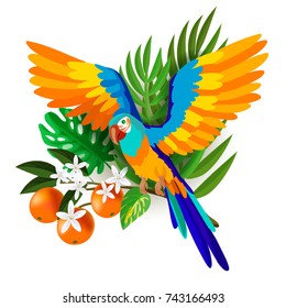 Tropical Ara parrot flying. Palm leaf and exotic plants on white background. Cartoon vector illustration.